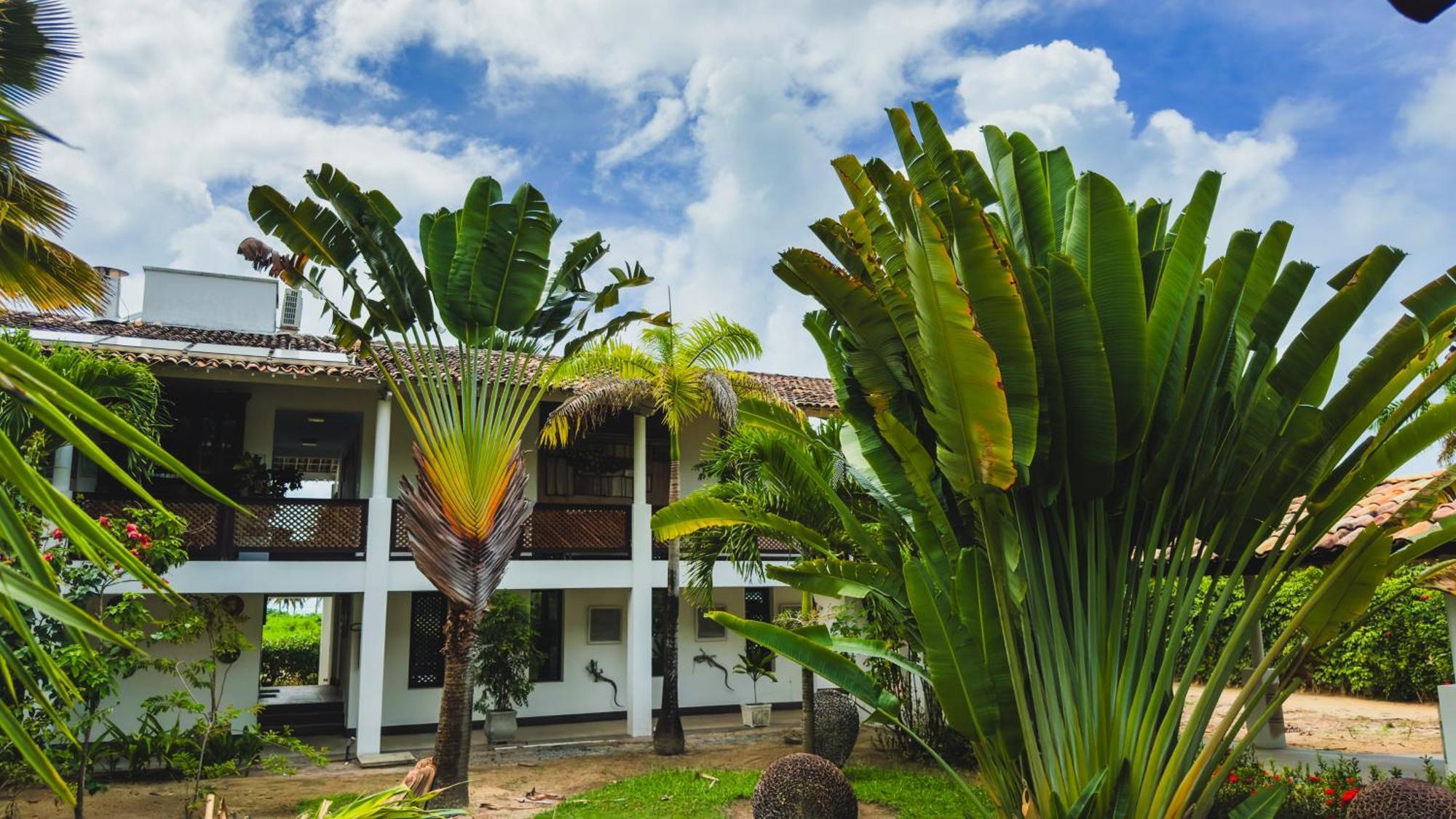 Casa Acayu Hotel São Miguel dos Milagres Exterior foto